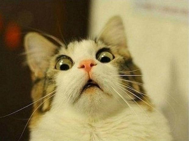HTC Vive will be released WHEN?!? HTC Vive will be released WHEN?!?
