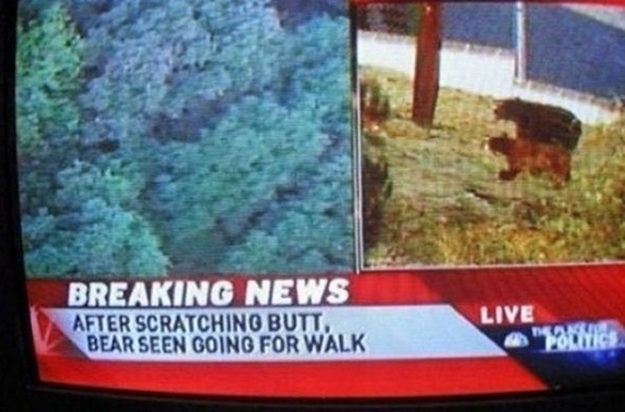 Slow News Day
